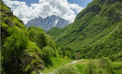 City Digorskoie 1