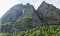 City Tseiskoe 3